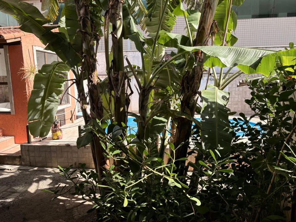 Garden, Garden view, Pool view, Inner courtyard view