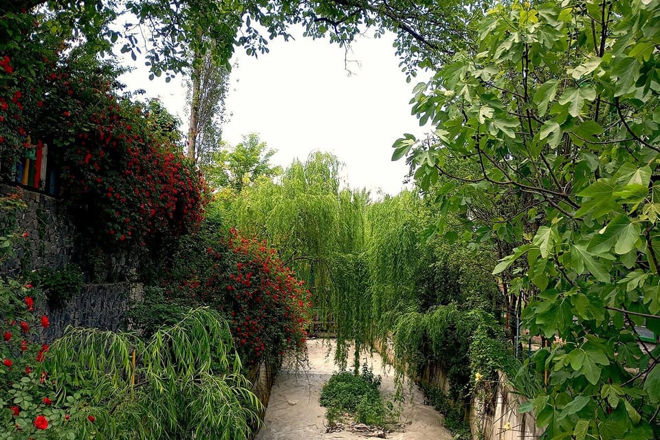 Natural landscape, Garden