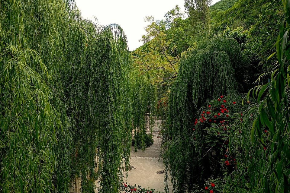 Mountain view, River view