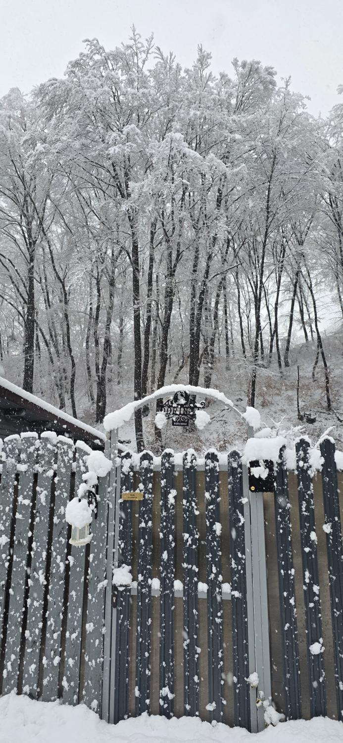Natural landscape, Winter