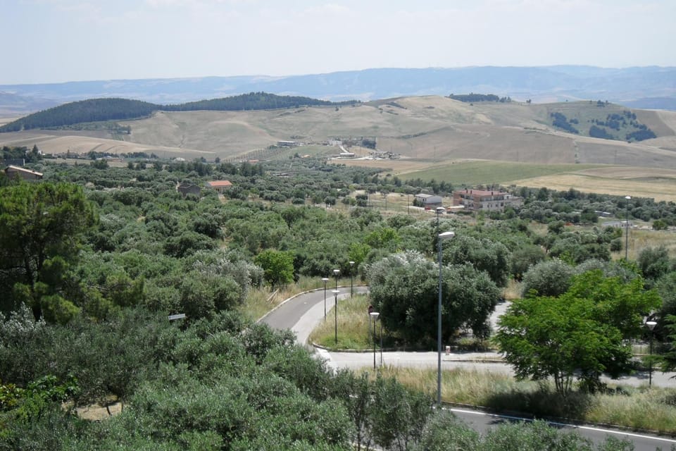 Neighbourhood, Natural landscape