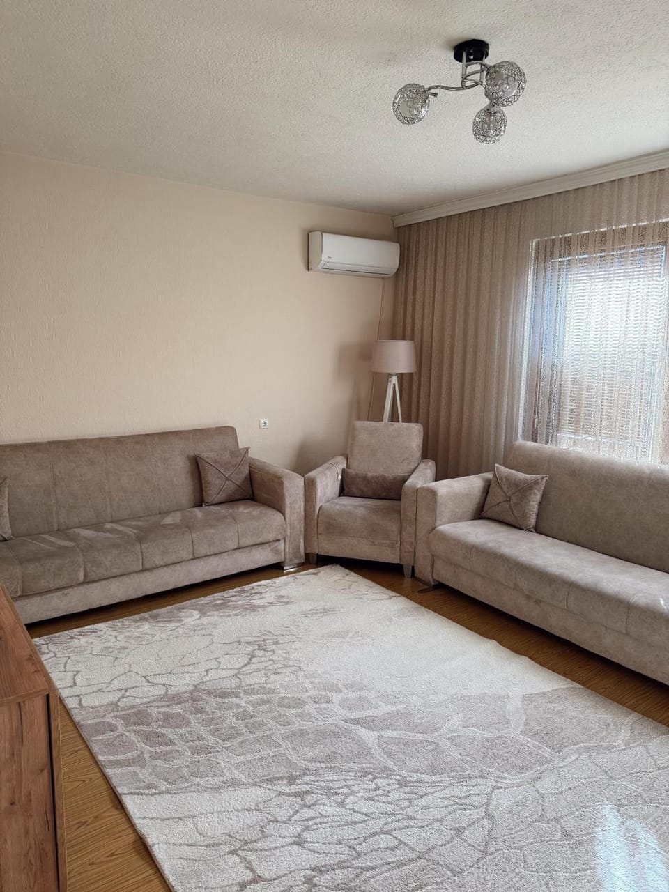 Living room, Photo of the whole room, air conditioner