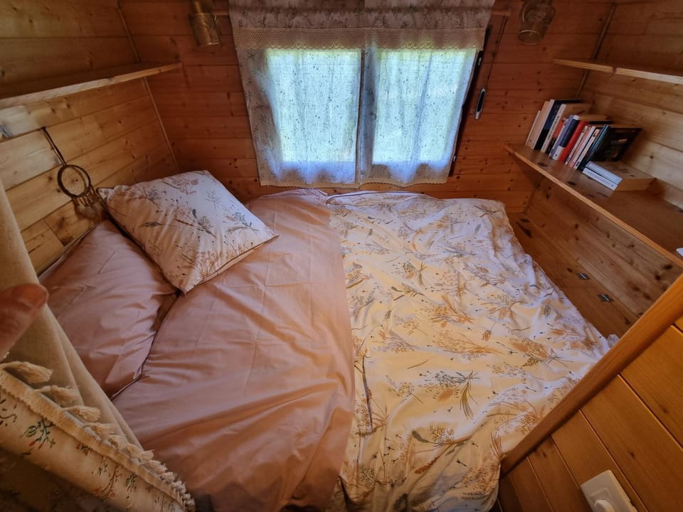 Bed, Library, Photo of the whole room, Bedroom