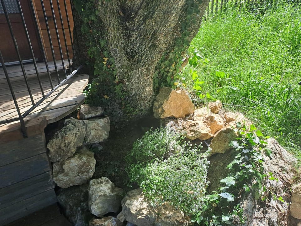 BBQ facilities, Garden, Garden