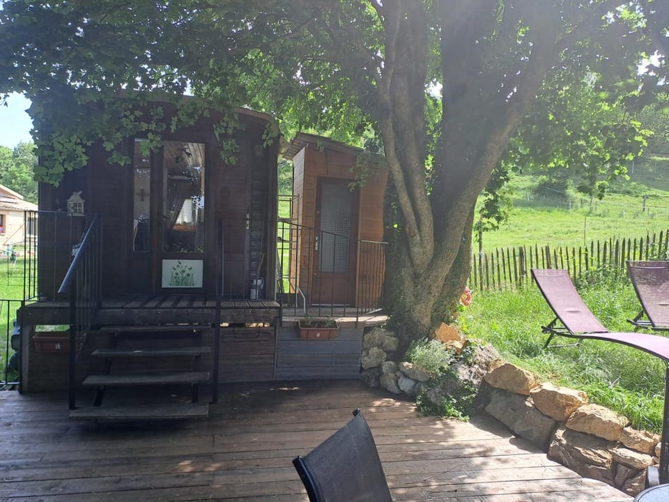 Toilet, Patio, Natural landscape, Garden