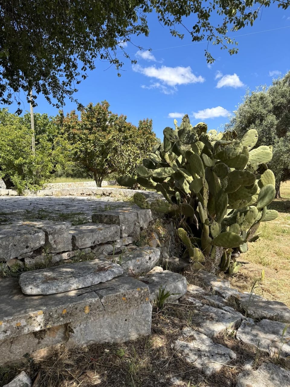Trulli Donna Gina House in Province of Taranto