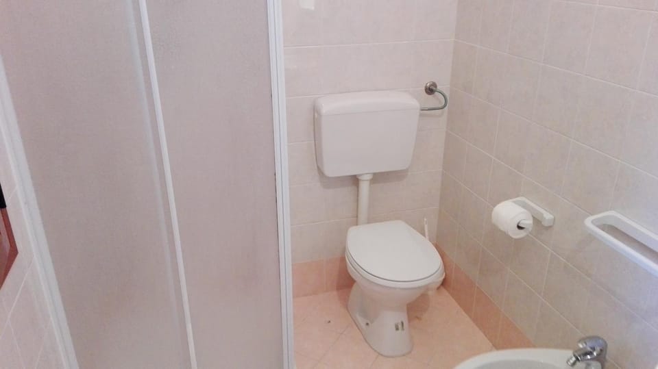 Shower, Toilet, Bathroom, bidet