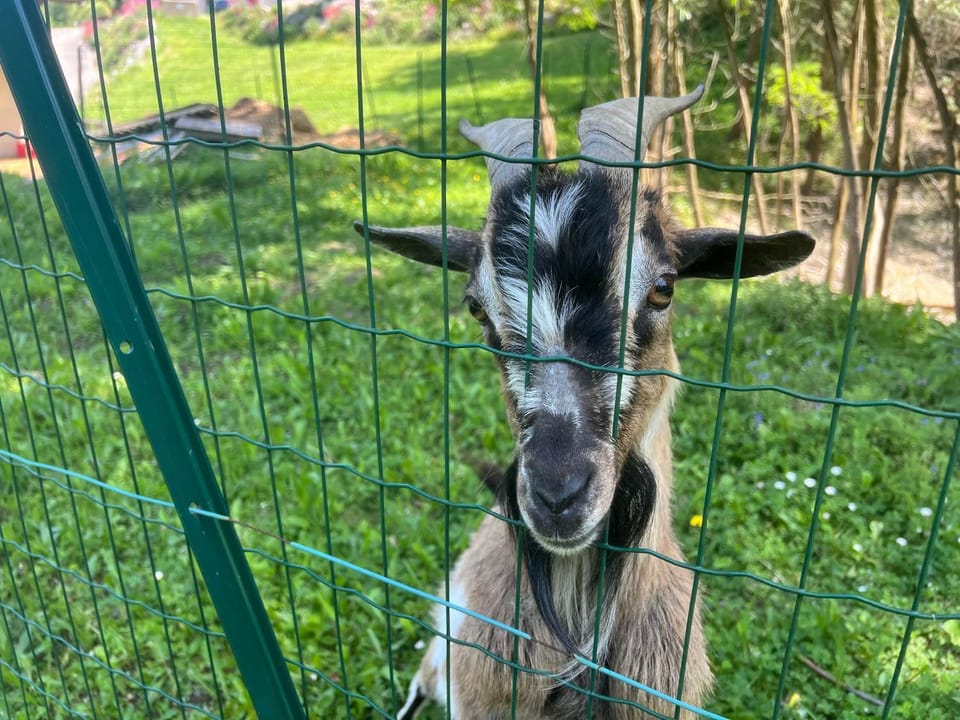 Le Creux de Murmures, Lyon Nature lodge in Bourgoin-Jallieu