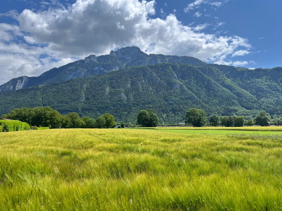 Mountain view