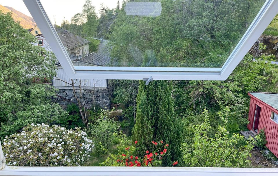 View (from property/room)