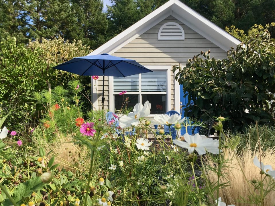 Property building, Garden, Garden view