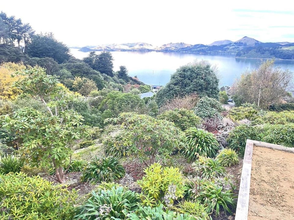 Weka St Eco Cabin Cabin in Dunedin