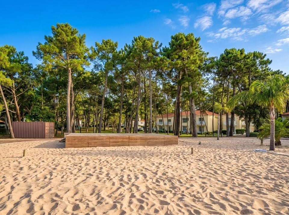 Spring, Day, Natural landscape, Beach