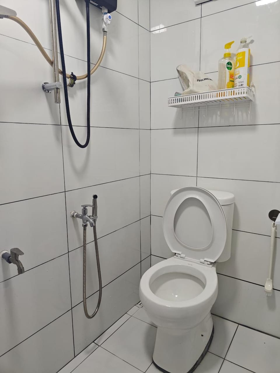 Shower, Toilet, Bathroom, bidet