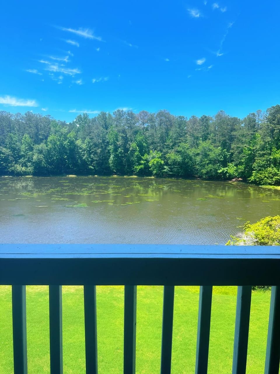 Nearby landmark, Spring, Day, Natural landscape, View (from property/room), Balcony/Terrace, Lake view, River view