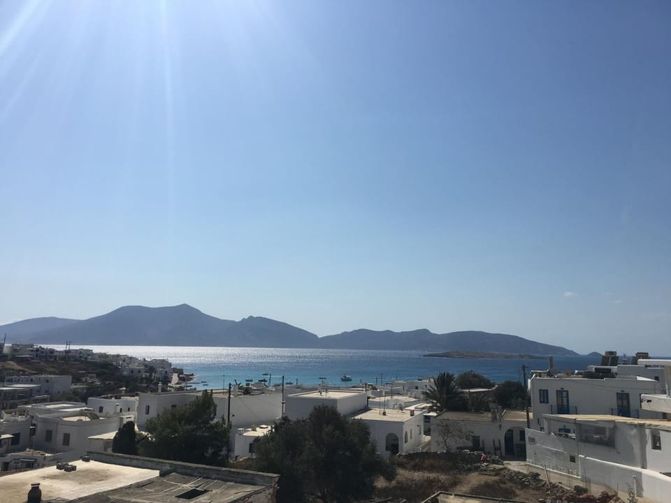 Day, Summer, On site