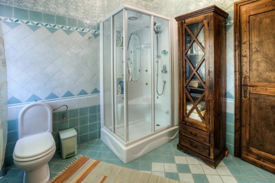 Shower, Toilet, Sauna, Bathroom, hair dryier, towels, wardrobe