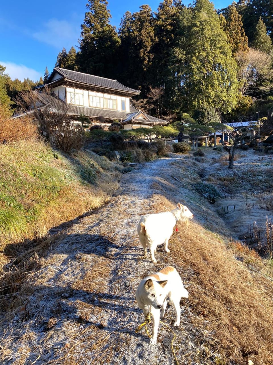 Sudo Nousaien Farm Stay in Japan
