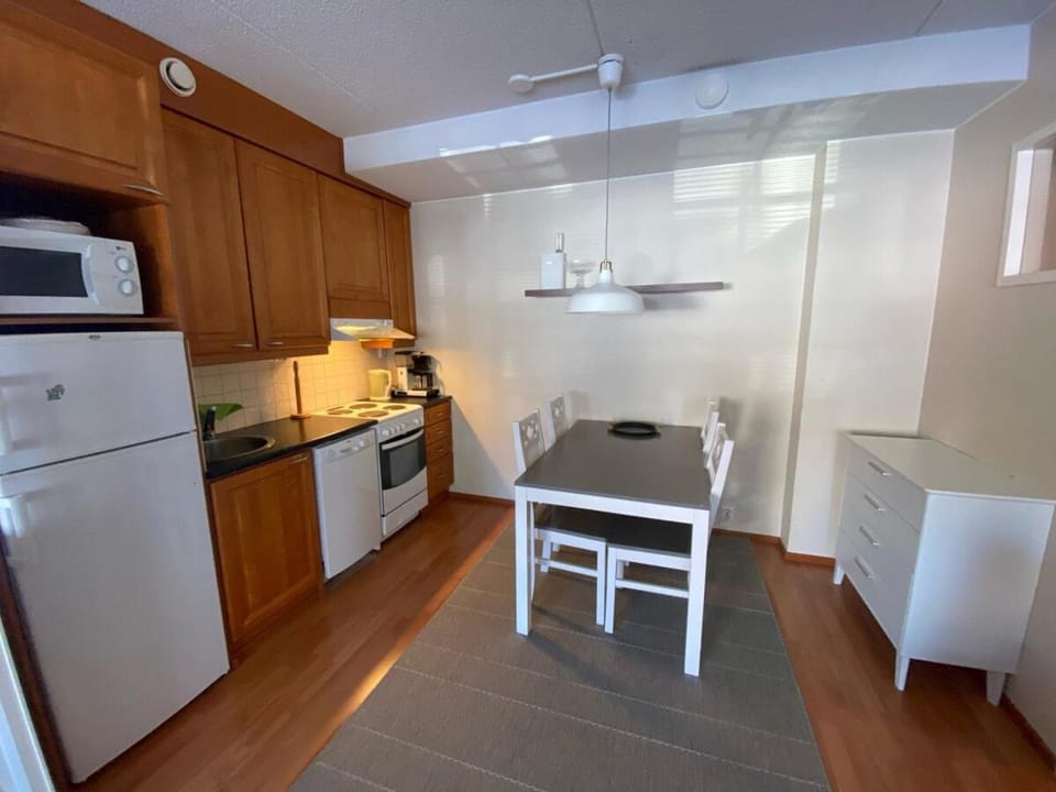 Levin Alppi Apartment in Lapland