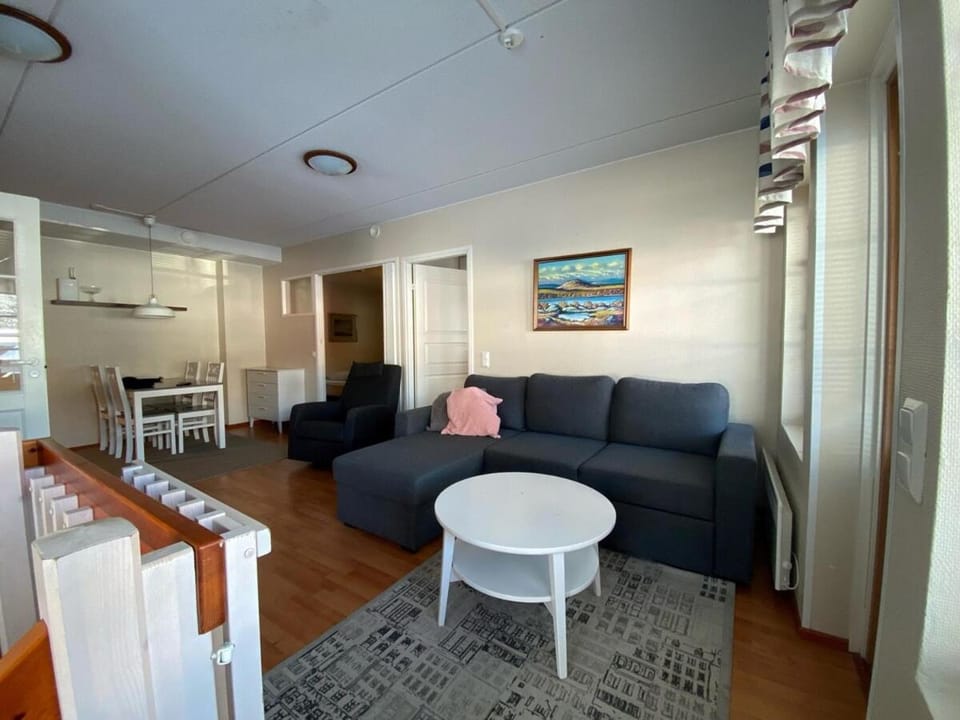 Levin Alppi Apartment in Lapland