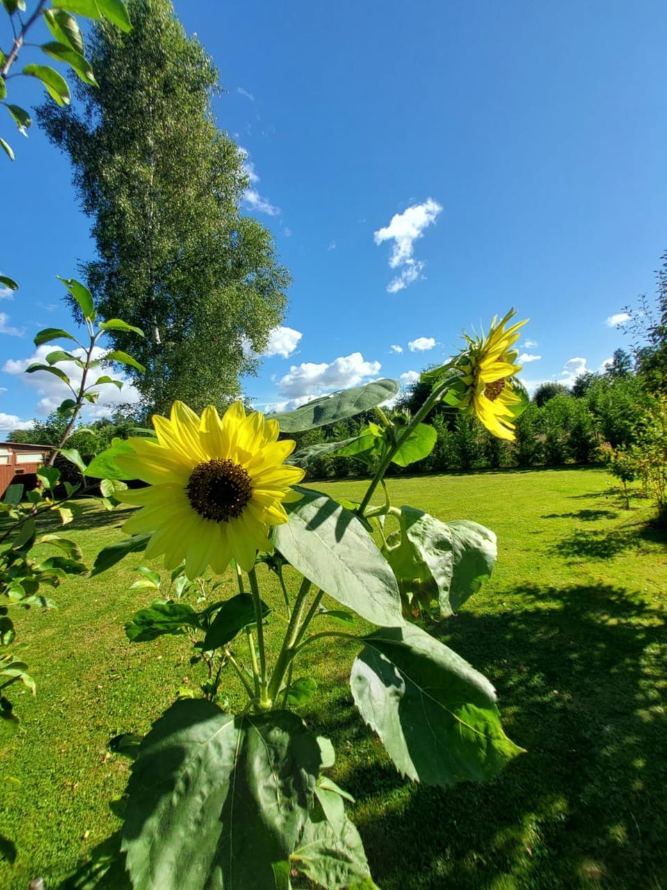 Domek na wiejskiej 5 House in Pomeranian Voivodeship