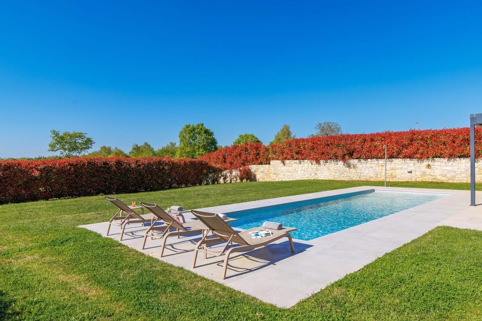 Evening entertainment, Swimming pool, Swimming pool