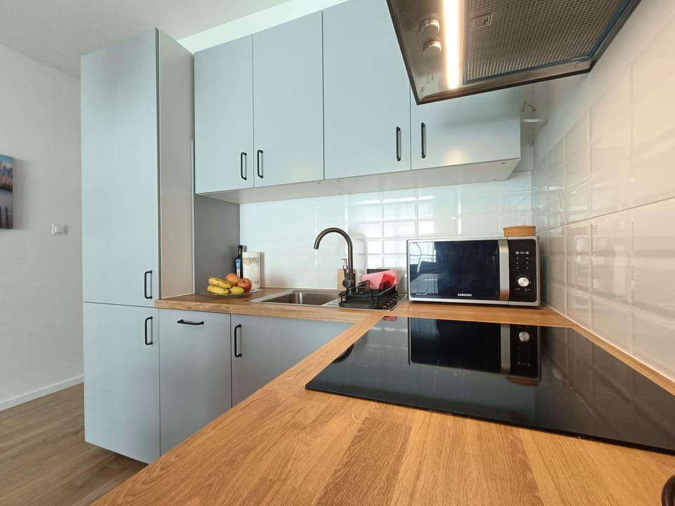 Kitchen or kitchenette, dishwasher, stove
