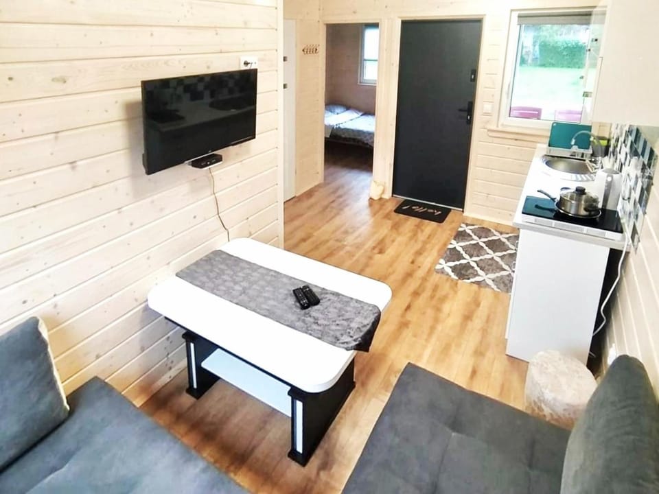 Communal lounge/ TV room, TV and multimedia, Living room, Seating area, Dining area, oven, pet friendly