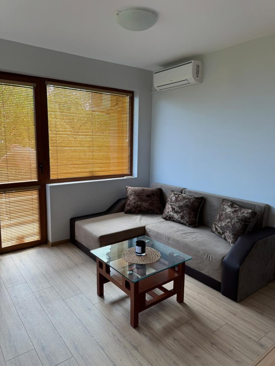 Living room, Seating area, air conditioner