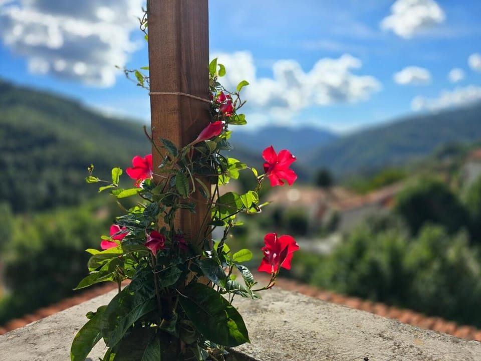 Natural landscape, Mountain view