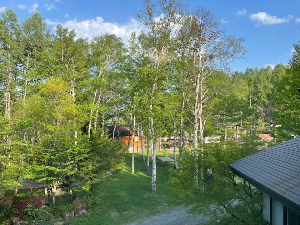 Spring, Day, Natural landscape, Garden