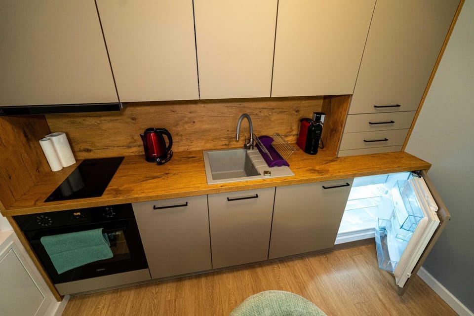 Alpine Nest Grand Chalet Apartment in Brasov