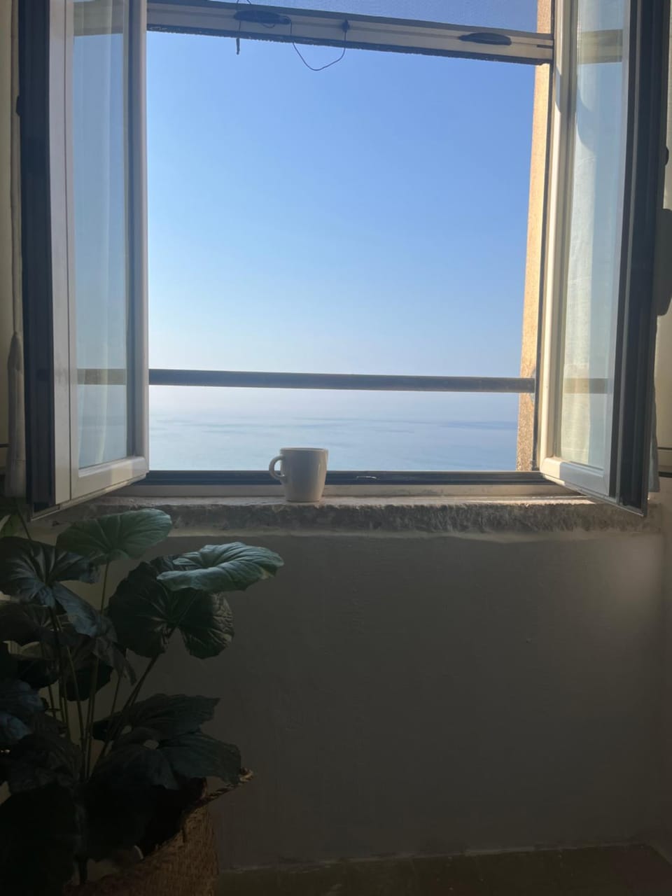 View (from property/room)
