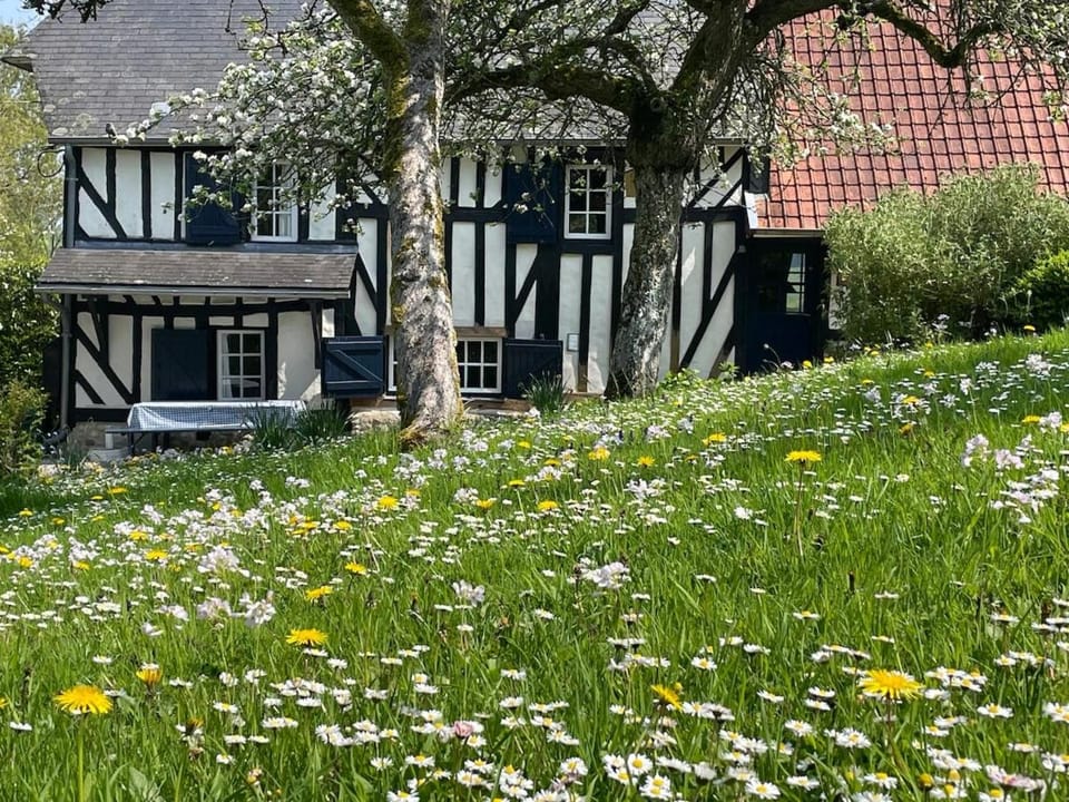 Property building, Garden view