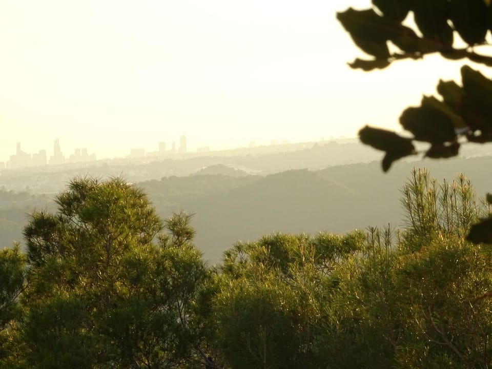 Natural landscape