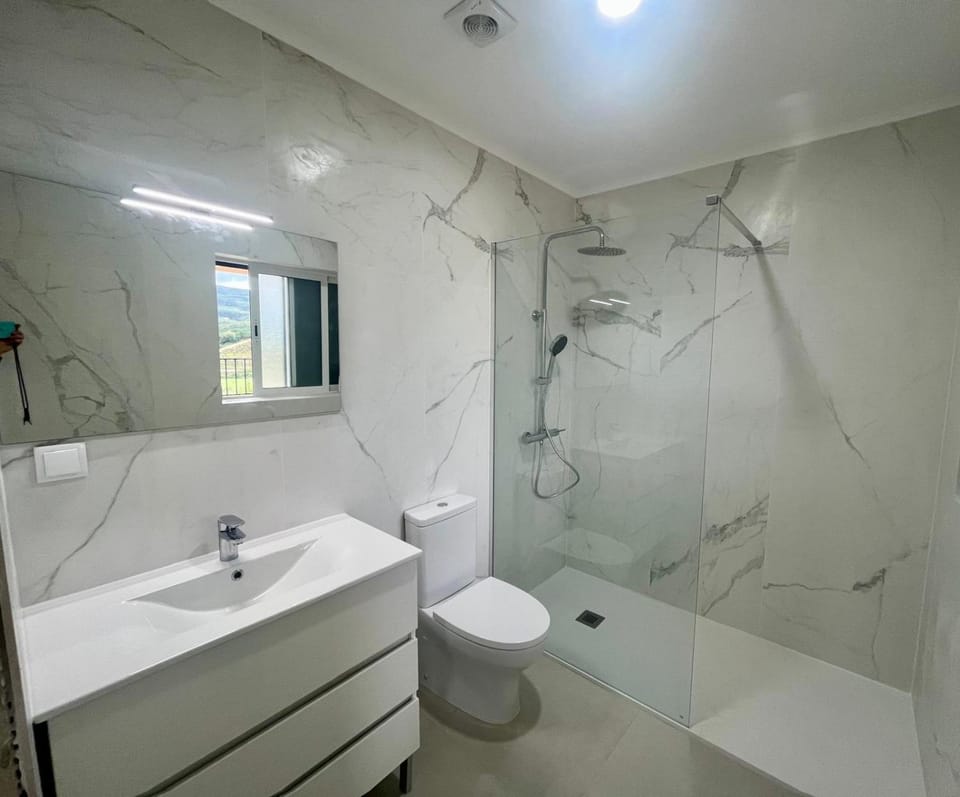 Shower, Toilet, Bathroom, towels