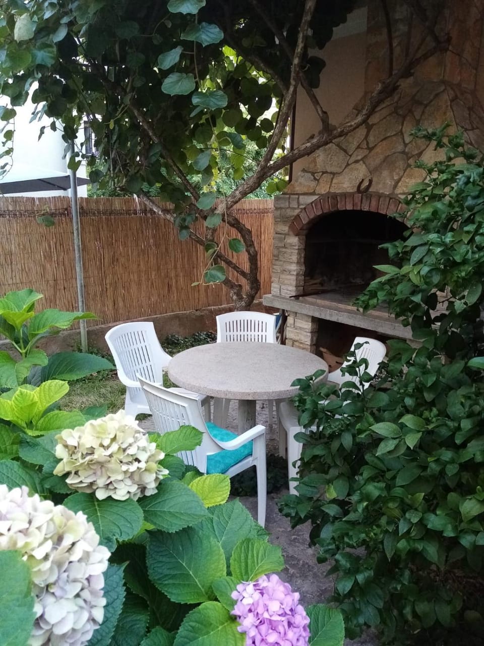 Apartment Maja Apartment in Zadar