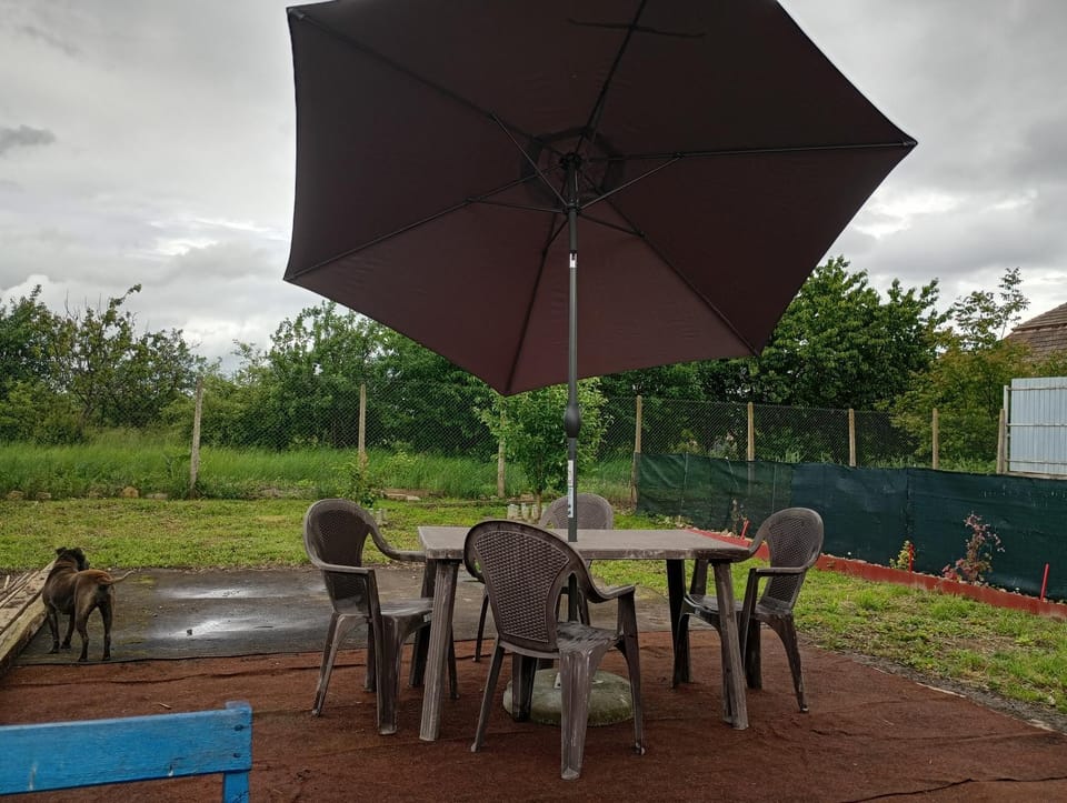 Casa Tamara Bed and Breakfast in Cluj County