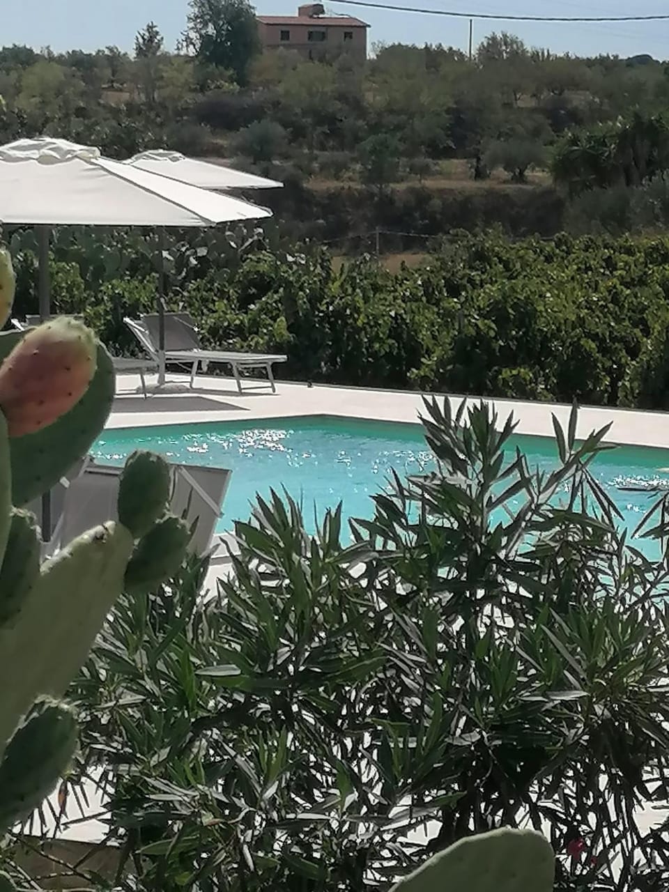 Garden view, Swimming pool