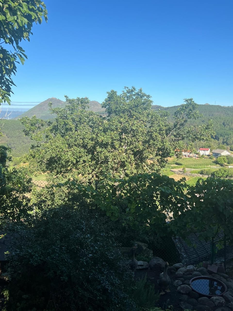 Nearby landmark, Off site, Day, Natural landscape, View (from property/room), Garden view, Mountain view