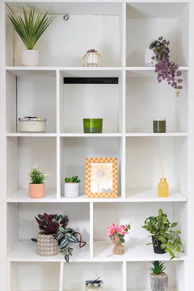 Cozy Flat in the Heart of Camden Apartment in London Borough of Islington