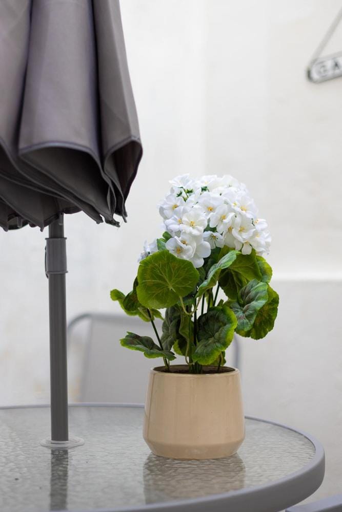 Cozy Flat in the Heart of Camden Apartment in London Borough of Islington