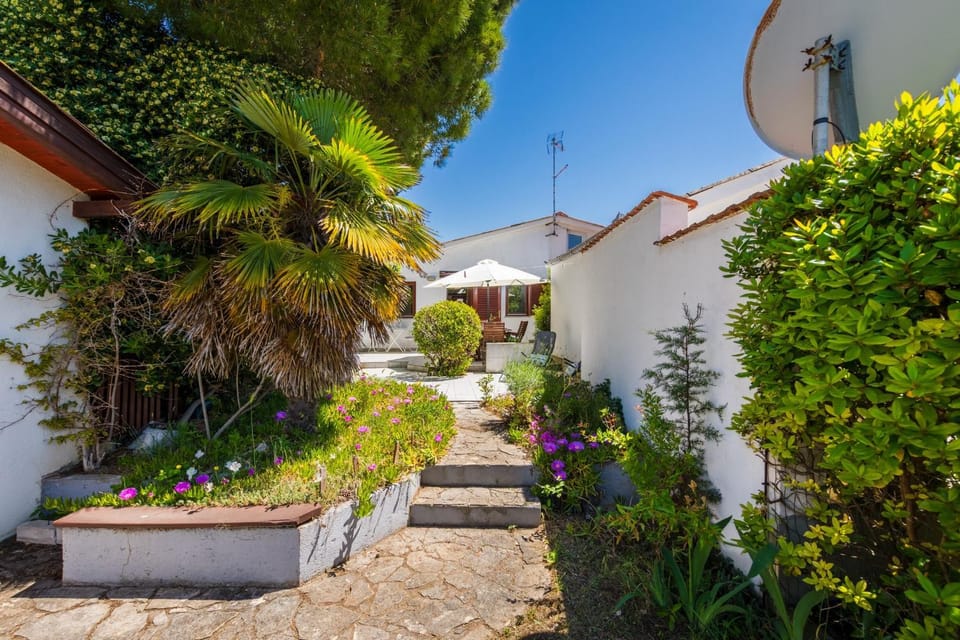 Property building, Spring, Day, Garden, Garden view