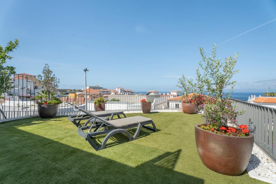 Spring, Day, Natural landscape, Garden, Garden view, Sea view