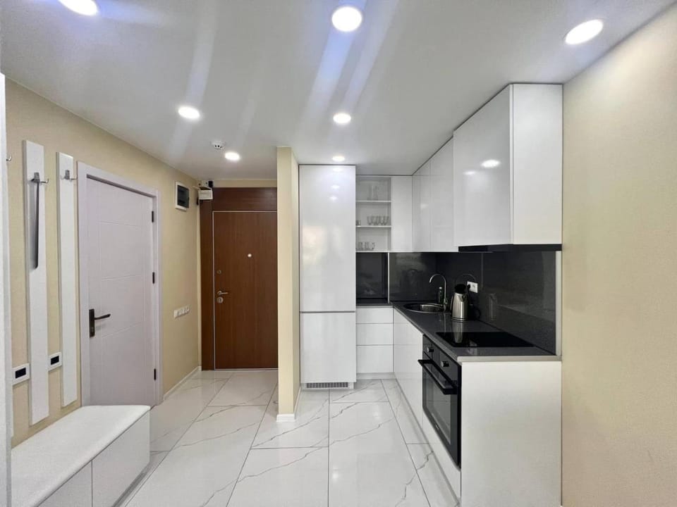 Kitchen or kitchenette, dishwasher, oven, stove