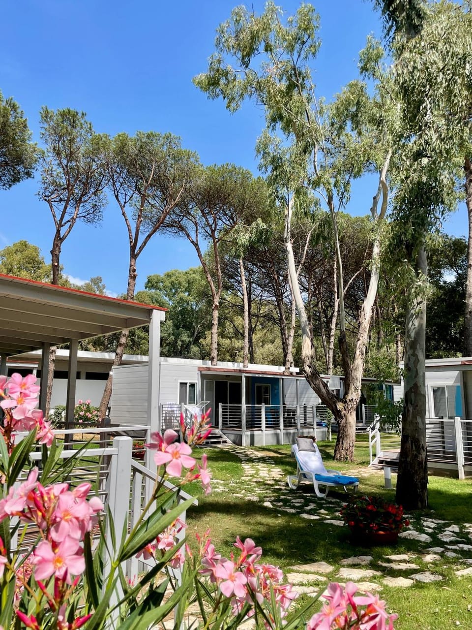 Property building, Garden, Garden view