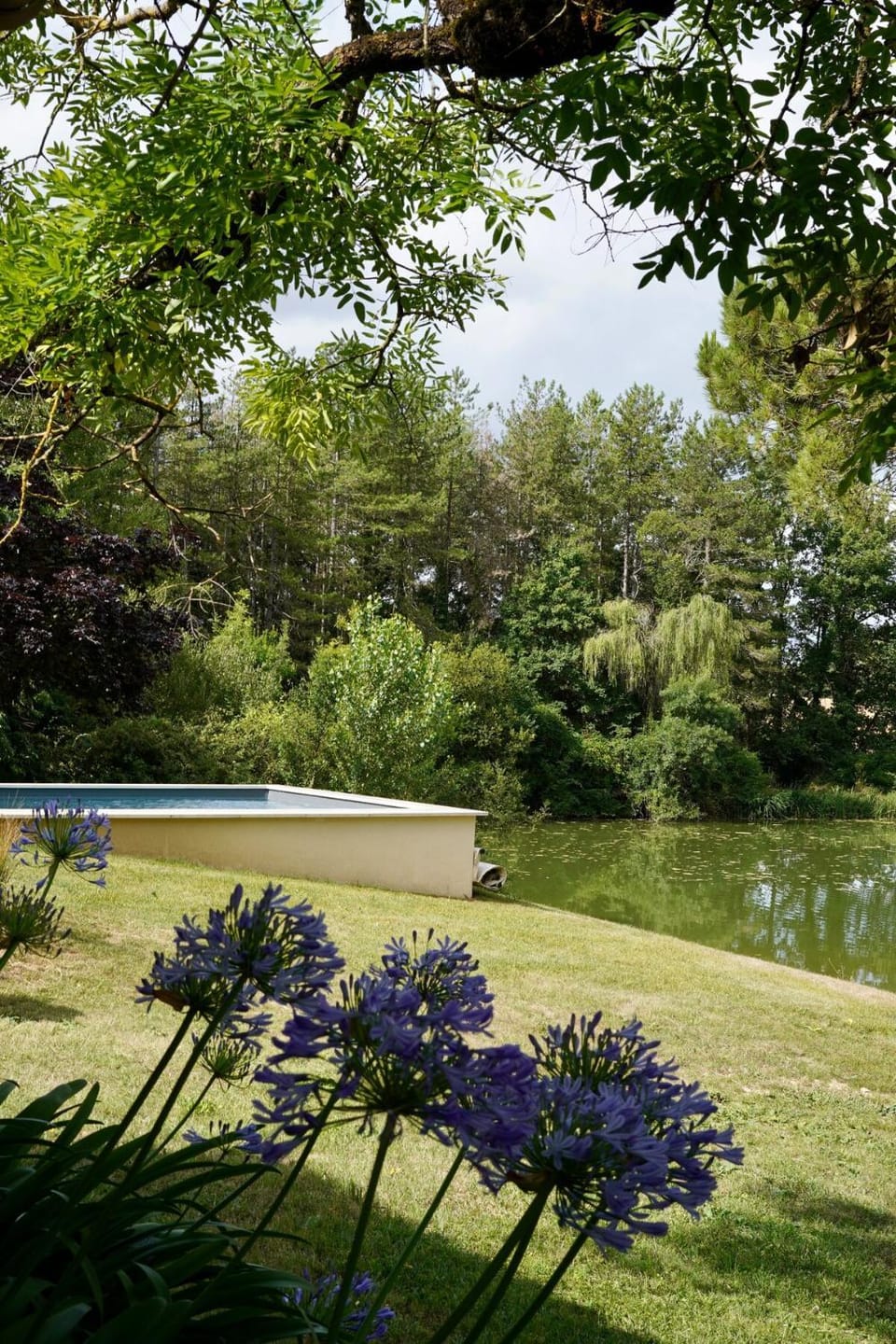 Day, Natural landscape, Garden, Garden, Garden view, Lake view, Swimming pool