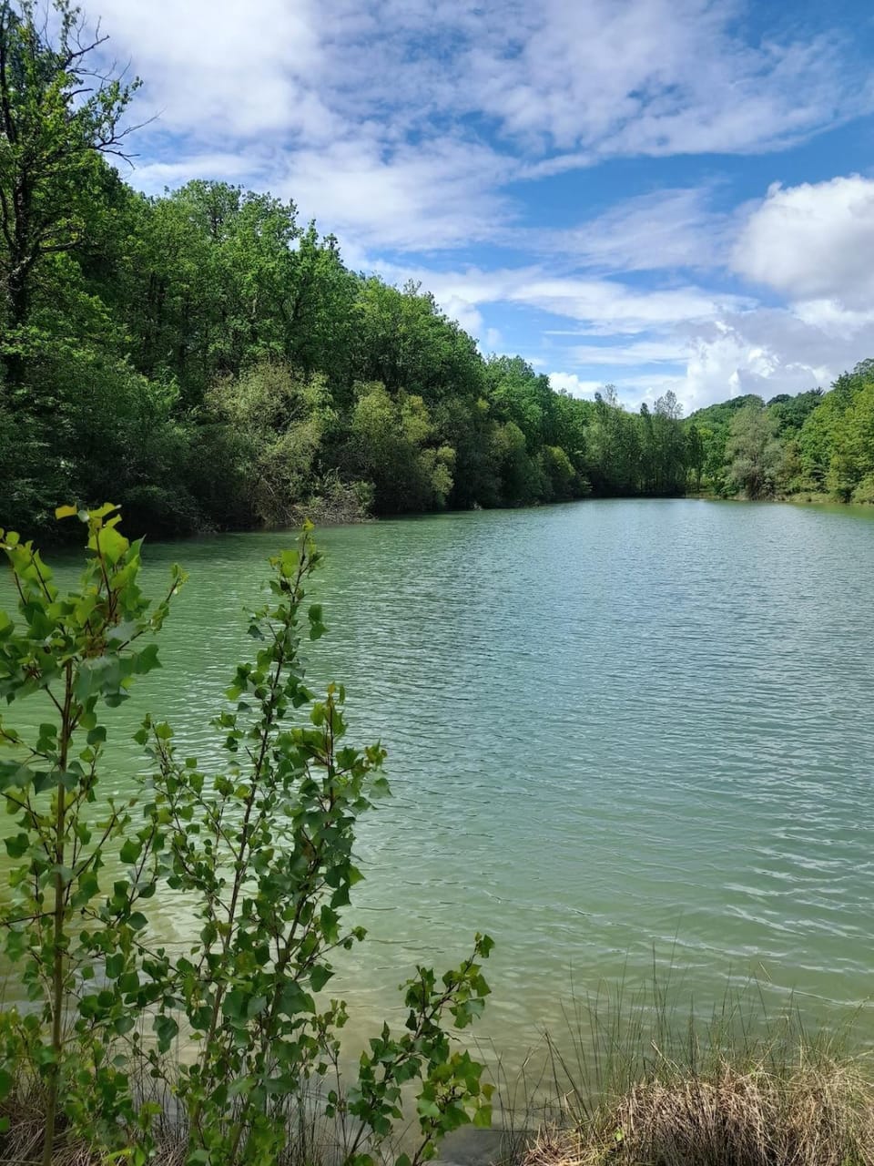 La Maison du Lac Villa in Occitanie