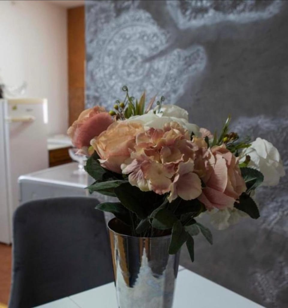 PRVA apart Apartment in Serbia