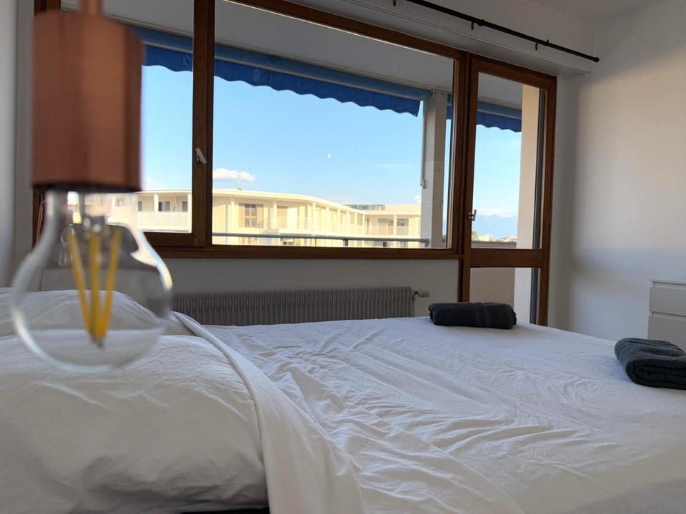 M002 Marquer Appartement T2 spacieux et lumineux avec balcon à deux pas du centre ville Apartment in Annemasse